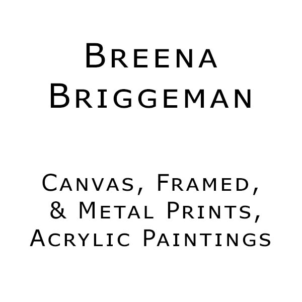Breena Briggeman