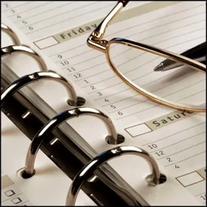 Business organization planning